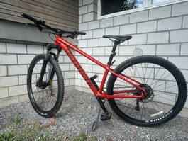 Mountainbike Specialized Rockhopper