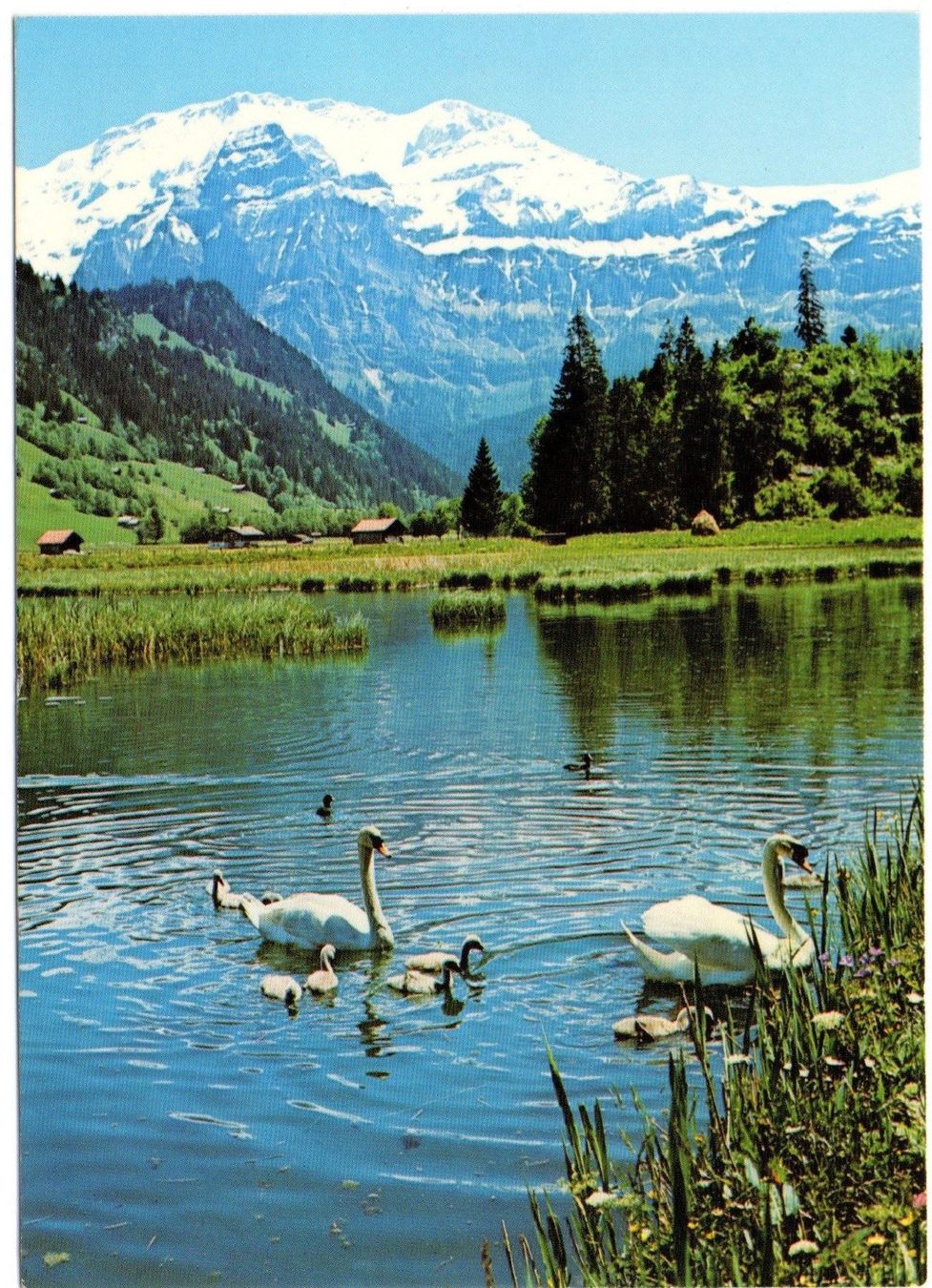 Ansichtskarten: 3x AK LENK – Gebraucht aus Jona von philajona 2