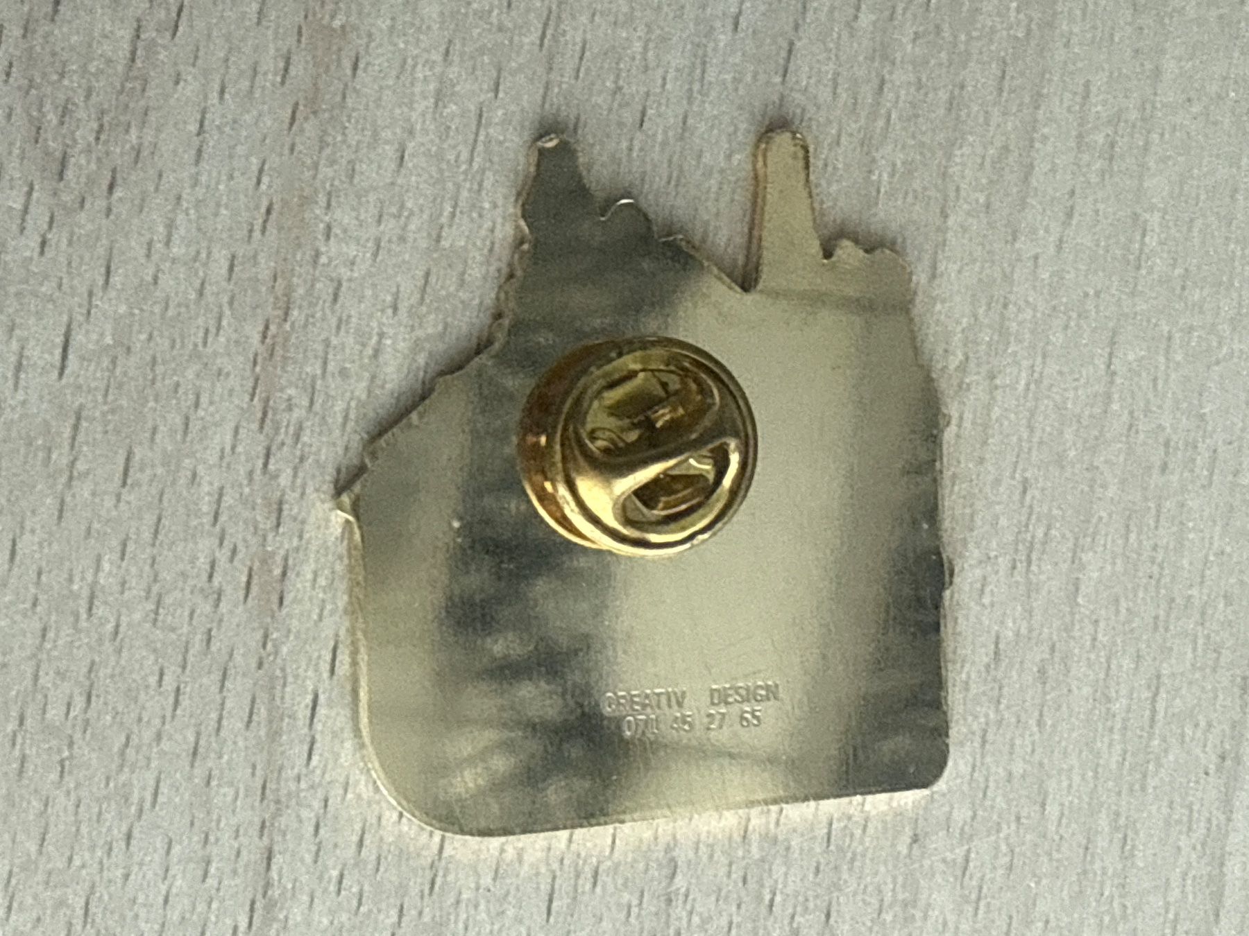 Placchette & Badge: Pin Villa Rothenstein – Usato da Glattbrugg venduto da Schweigmatt 1