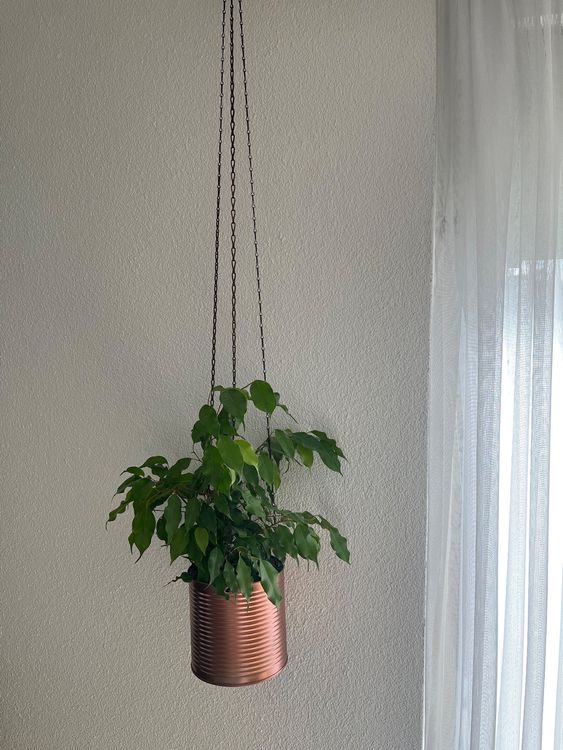Annie Garden Metall-Hängepflanzentopf – Mit Bodenloch & Haken, Für Balkon, Geländer Oder Fenster