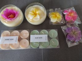 plumeria Fragipani Kerzen, Kokosnuss, Schwimmkerzen neu