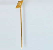 Swissair Goldnadel / Pin für Revers