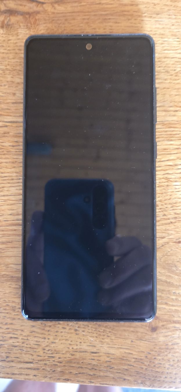 Samsung Telefoni cellulari / Smartphones: Samsung S20 FE 5G – Usato da Holziken venduto da Baumannd