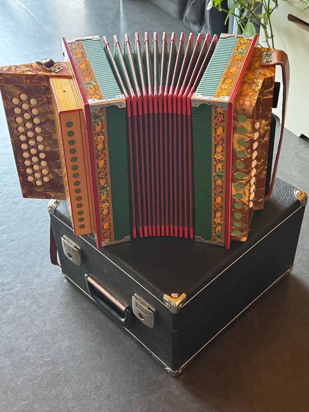Strumenti musicali: schönes Schwyzerörgeli, B gestimmt, 2chörig, mit Koffer – Usato da Baar venduto da qsi2005 3