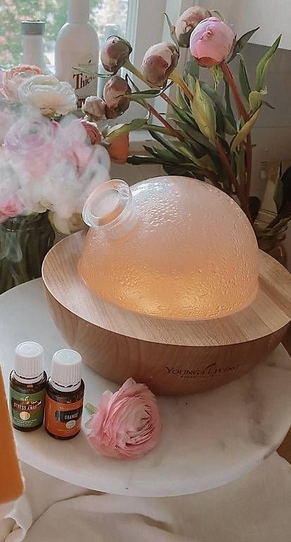 Diffuseurs: Der ARIA Diffuser -Young Living – D'occasion à St. Gallen par EllyM. 2