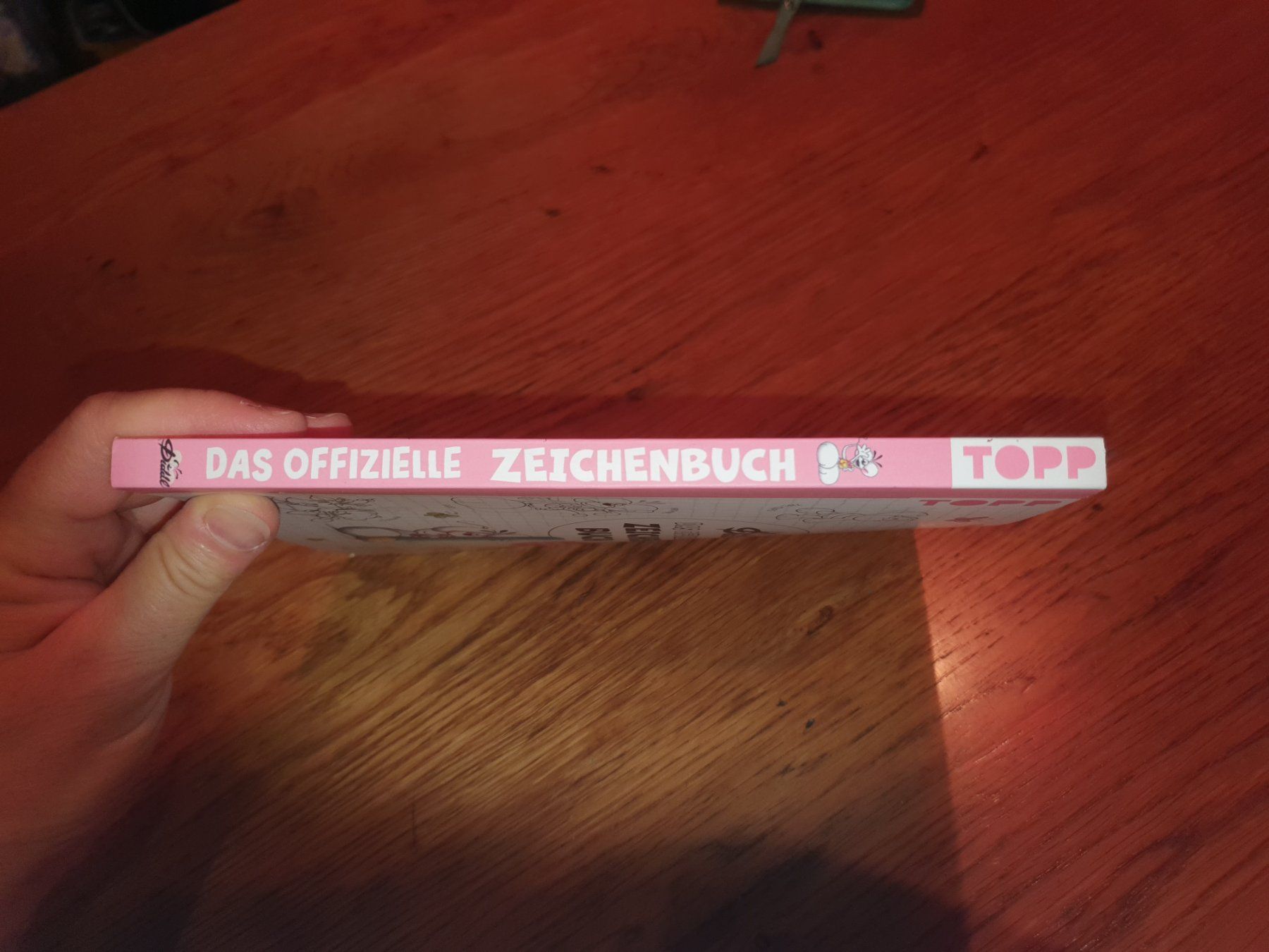 Bücher: Diddl das offizielle Zeichenbuch – Neu und originalverpackt aus Oftringen von papillon075 3
