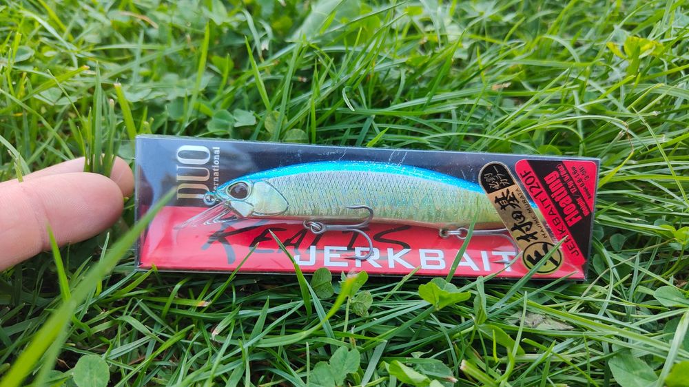 DUO Realis Jerkbait 120F – Leurre Flottant Pour Brochet – Coloris ACCZ402