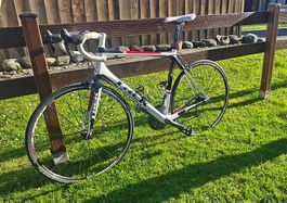 Rennrad Carbon Trek