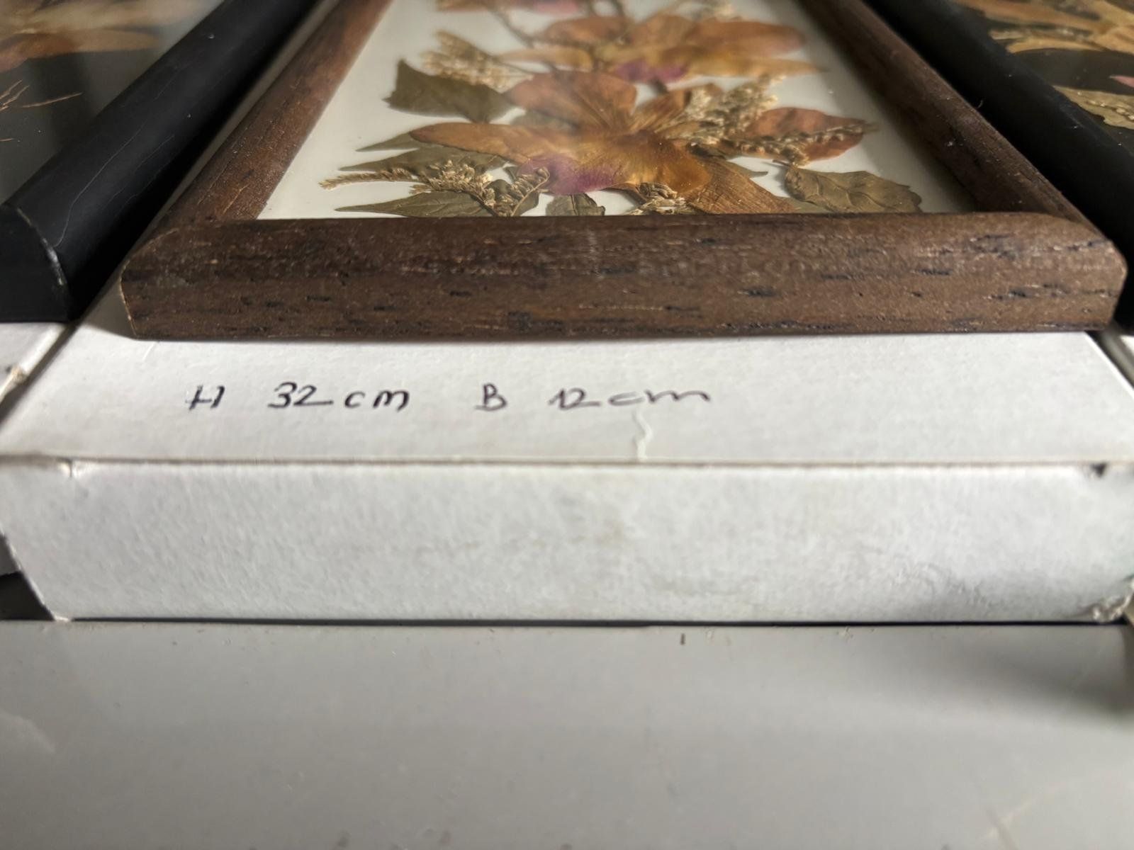 Foto & Immagini: Blumenbild 3 er Herbarium-Set Orchideen – Nuovo e nell'imballaggio originale da Regensdorf venduto da RCM_8105Regensdorf 2