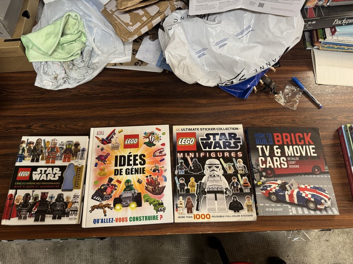 Libri: Lot de 4 livres Lego – Usato da Lausanne venduto da Michel_Ozcan