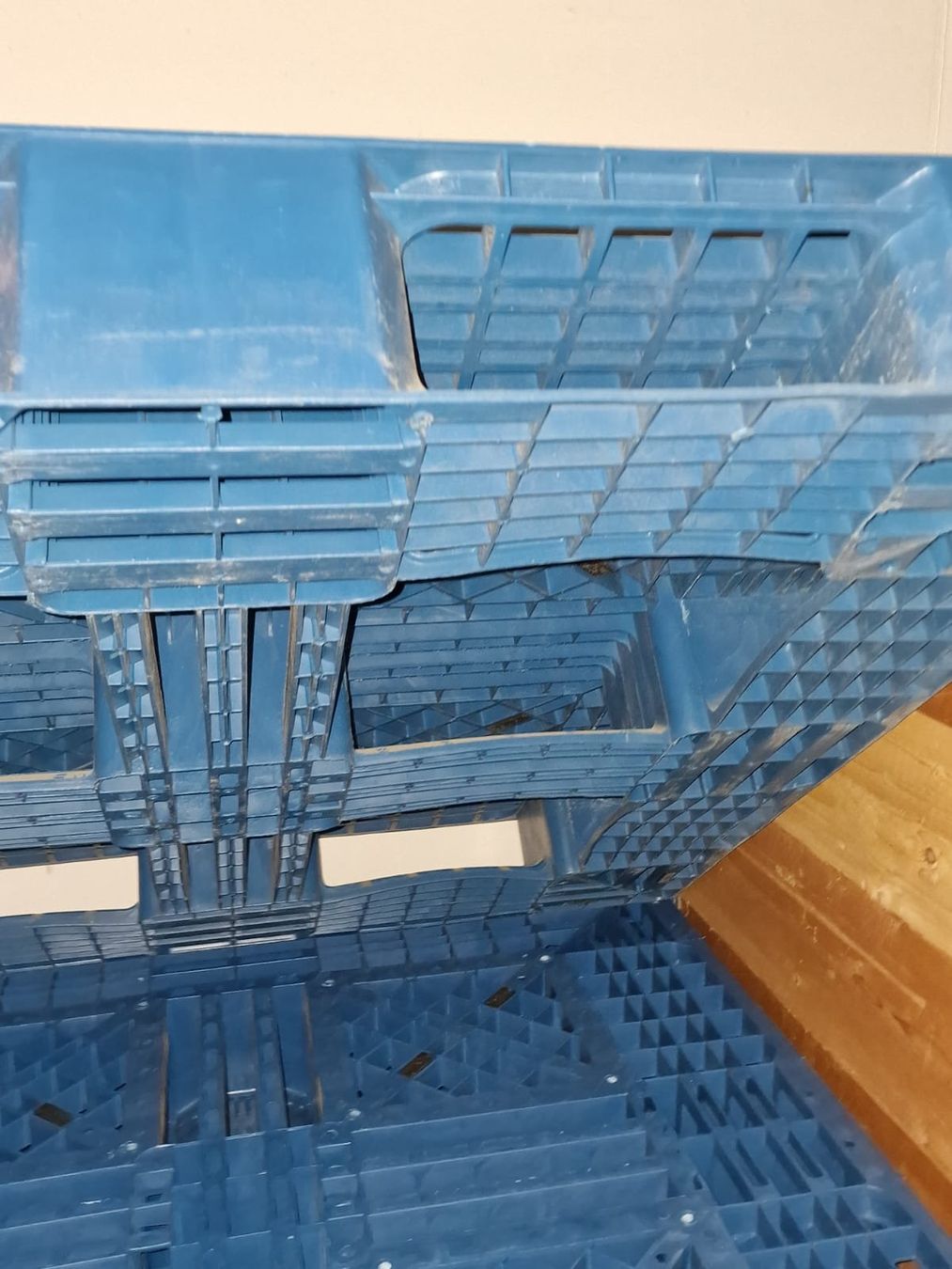 Pallets: Kunststoff Palette 109x107x15cm – Usato da Bilten venduto da ELYSATOR 3