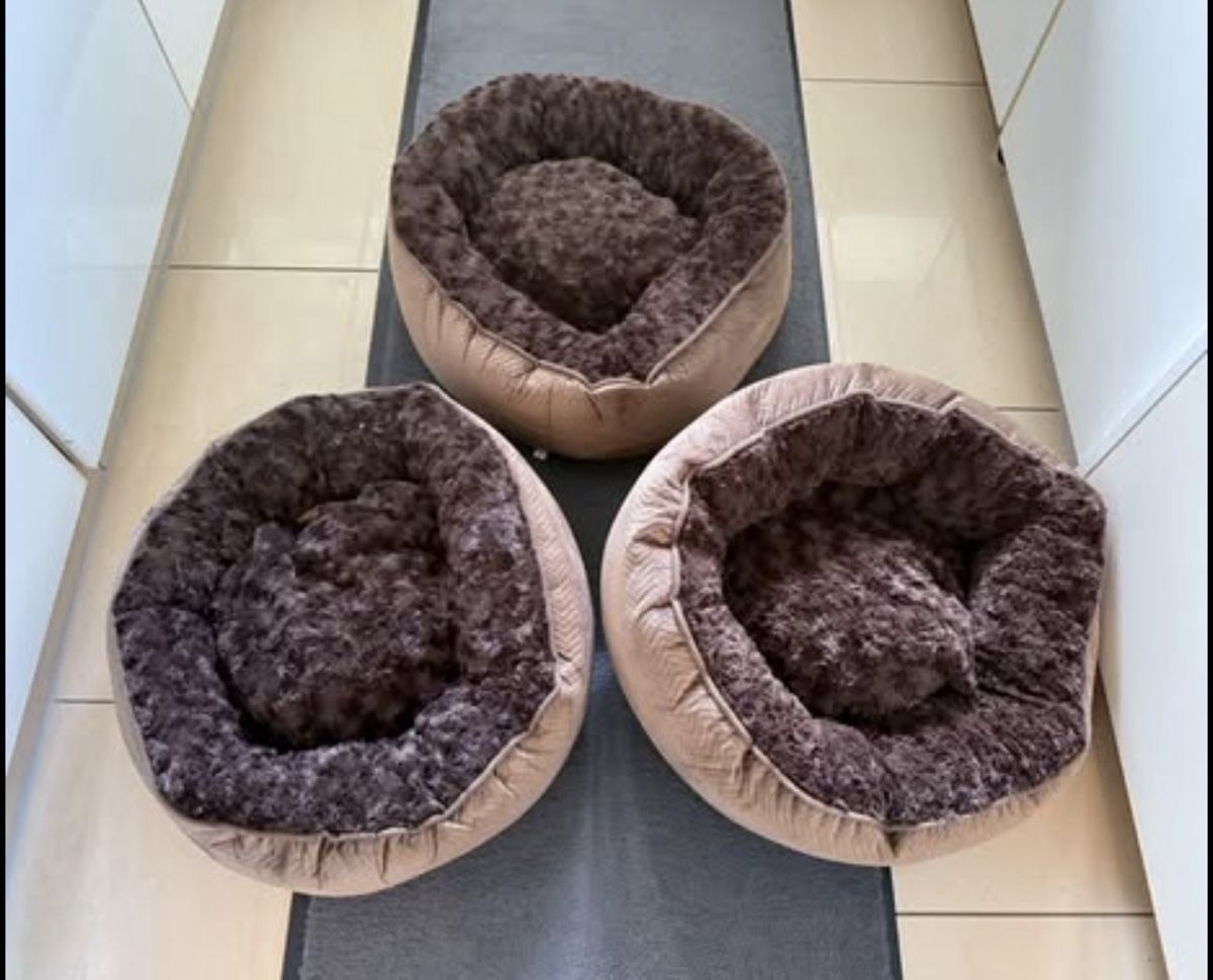 Cucce & Letti: Katzenbett Hundebett neu – Nuovo (secondo la descrizione) da Gerlafingen venduto da sternrose 1