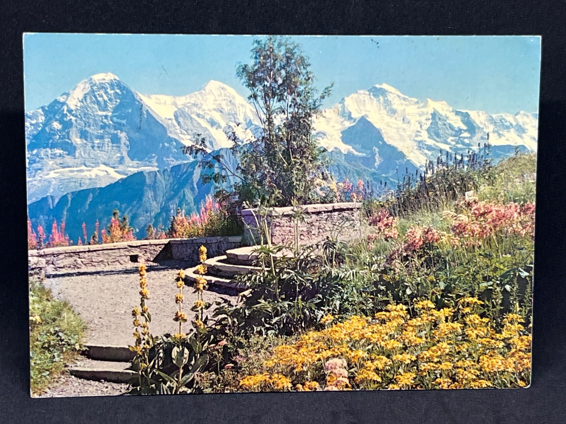 Ansichtskarten: Interlaken, Eiger, Mönch und Jungfrau – Gebraucht aus Widnau von Brusi9