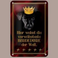 🔥 VERWÖHNTESTE HUNDEDAME Blechschild 🎀 12x18cm OVP 🔥