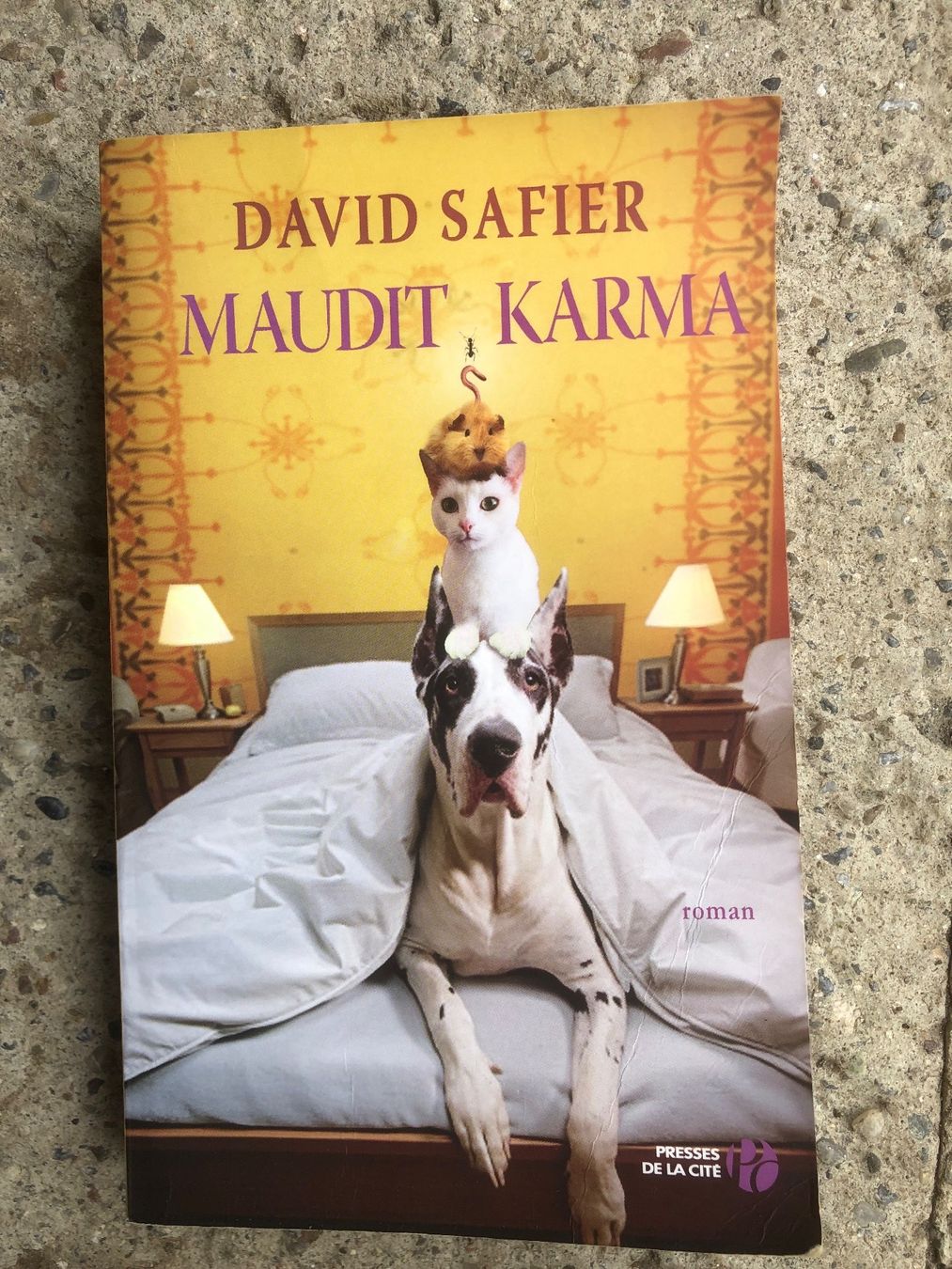 Libri: Maudit Karma de David Safier – Usato da Sierre venduto da Erjou