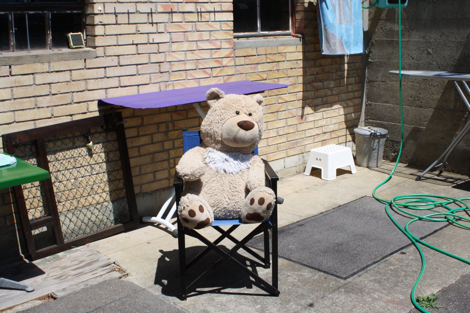 Spielzeuge: GROSSER TEDDYBÄR PLÜSCHBÄR – Gebraucht aus Wauwil von Pneuedy 2