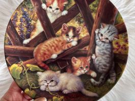 Assiette de collection Bradex Vintage - 1996 Sammler-Teller