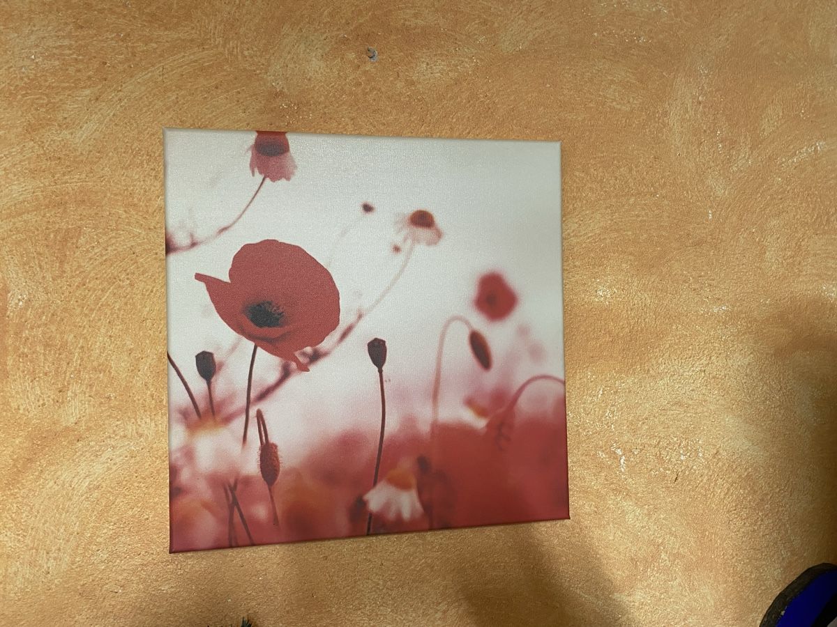 Poster & Bilder: Bild mit Mohnblumen – Gebraucht aus Wiesendangen von argon03