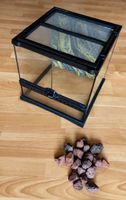 Exo Terra Pro Glasterrarium 30x30x30 mit Felsrückwand 