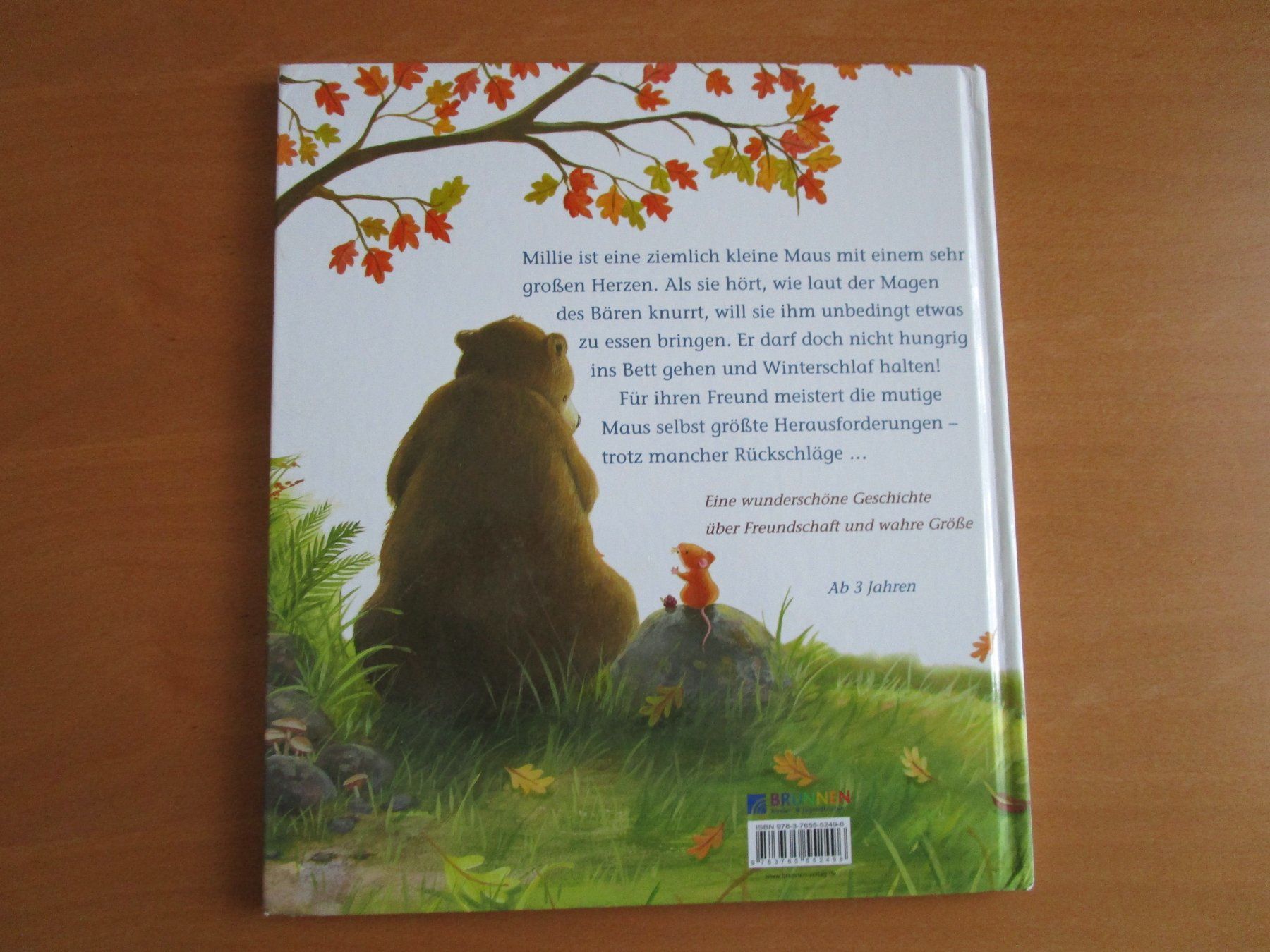Bücher: Kinderbuch: Die kleine Maus – Gebraucht aus Langenthal von majarose 1