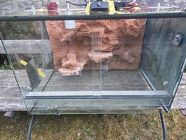 Terrarium 60x40x40 cm mit 3D Rückwand & Zubehör