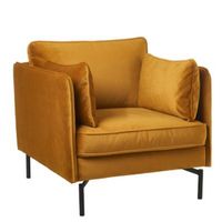 Fauteuil PPno.2 en Velours par Pols Potten Studio
