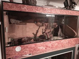 Terrarium OSB Holzoptik mit Glasfront 