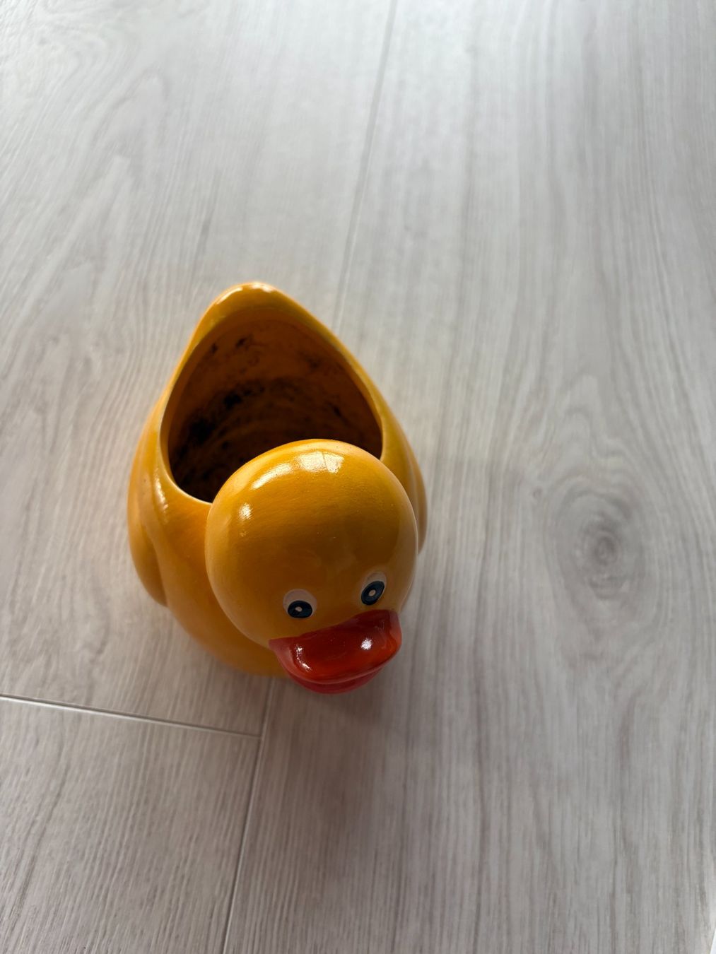 Pots de fleurs: Blumentopf Ente – D'occasion à Mühleberg par cupra80 1
