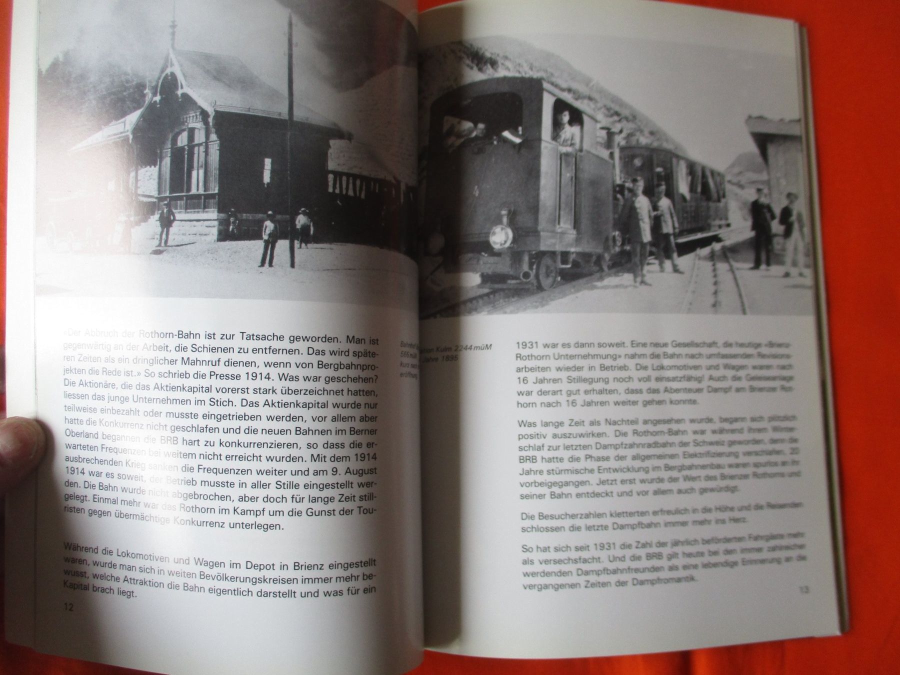Libri: Buch Dampf am Brienzer Rothorn – Usato da Birsfelden venduto da alles-muss-raus 1