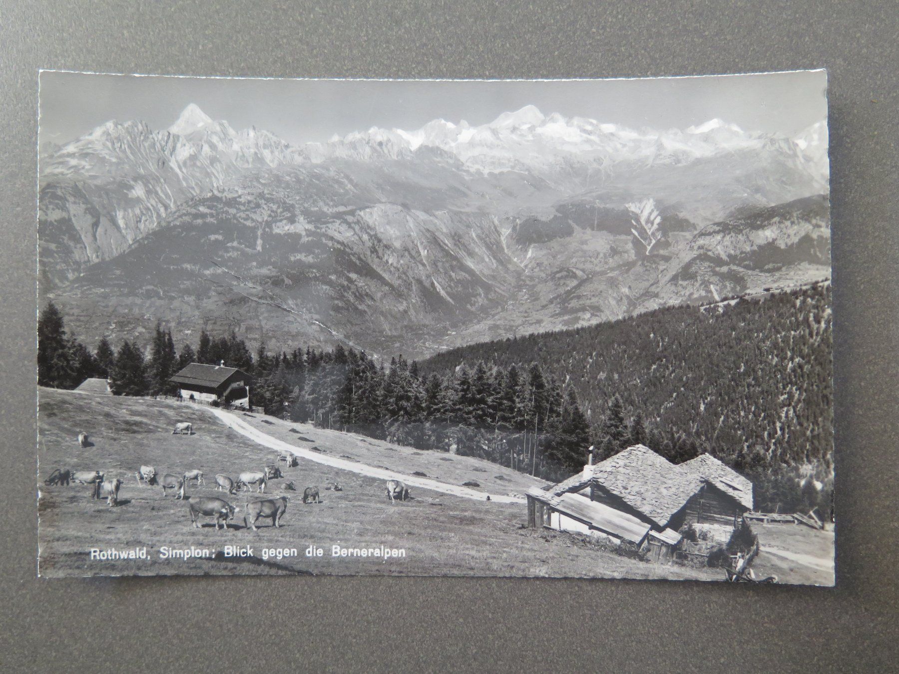 Cartoline postali: SIMPLON - ROTHWALD - BLICK GEGEN DIE BERNERALPEN – Usato da Wittenbach venduto da lipasal