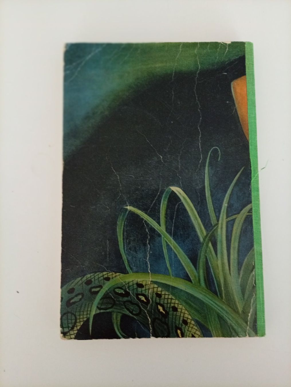 Bücher: Rudyard Kipling, Das Dschungelbuch – Gebraucht aus Locarno von edn.vintage 5
