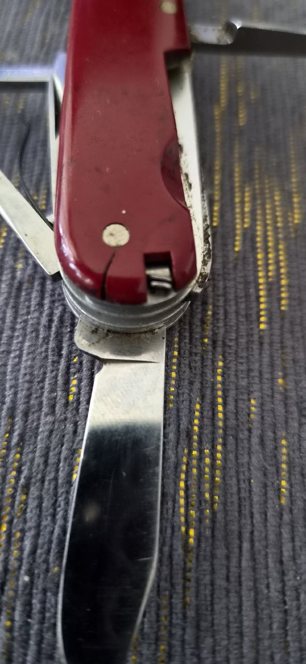 Victorinox Coltelli tascabile: Victorinox Victoria  – Usato da Bern venduto da BullseyeCH 4