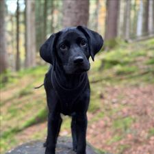 Profile image of leki04