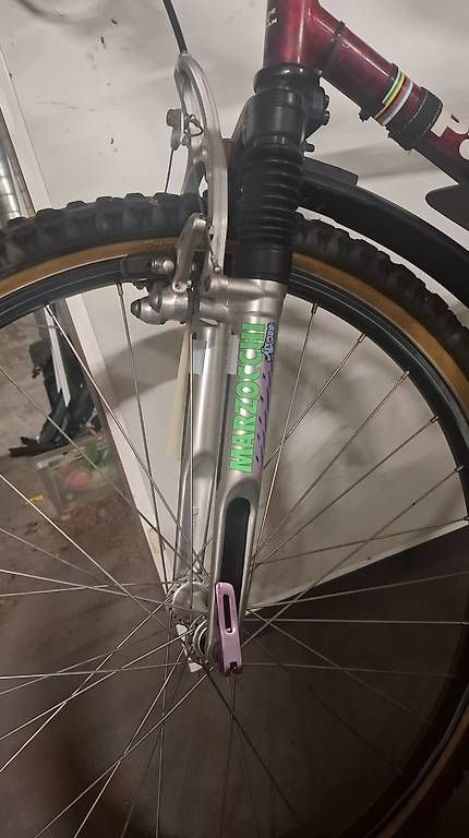 Biciclette: Mountainbike  – Usato da Bellach venduto da Mister-Ben 2