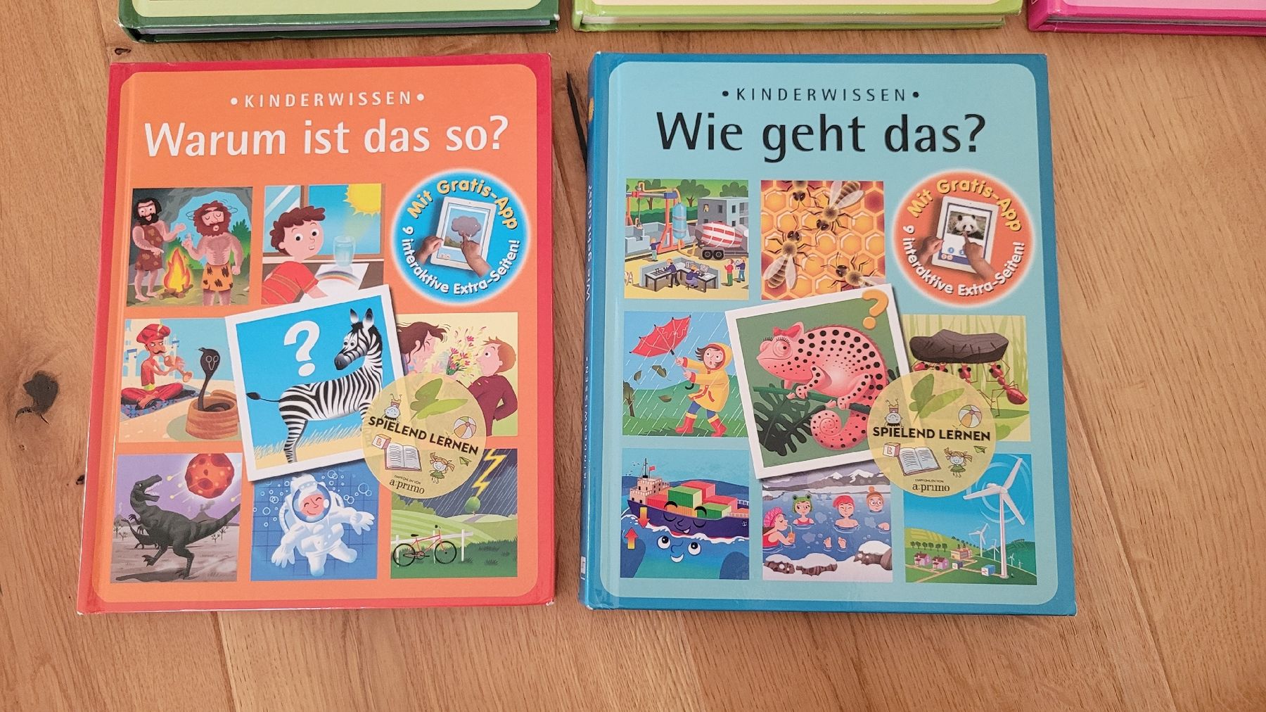 Libri: Bücherserie- Kinderwissen – Usato da Worb venduto da Sibille20 2