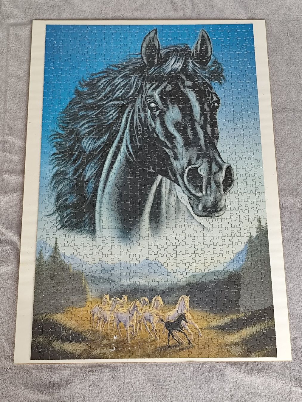 Ravensburger Puzzle: Gerahmtes Ravensburger Puzzle 1000 – Usato da Wald zh venduto da feusi70