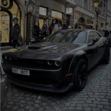 Profile image of marco_guscetti