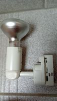 Spot für 3 Phasen Stromschiene inkl. Leuchtmittel