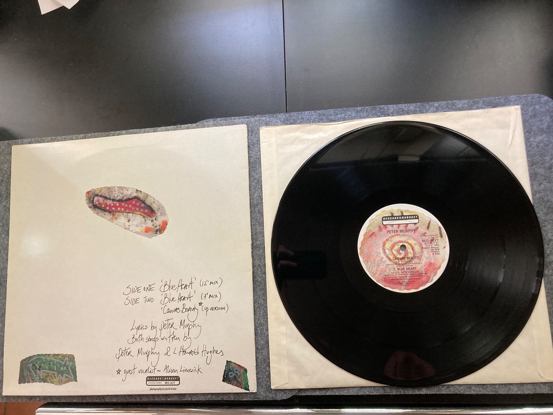Dischi in vinile: Peter Murphy - Blue Heart (12") – Usato da Fribourg venduto da Karushi 1
