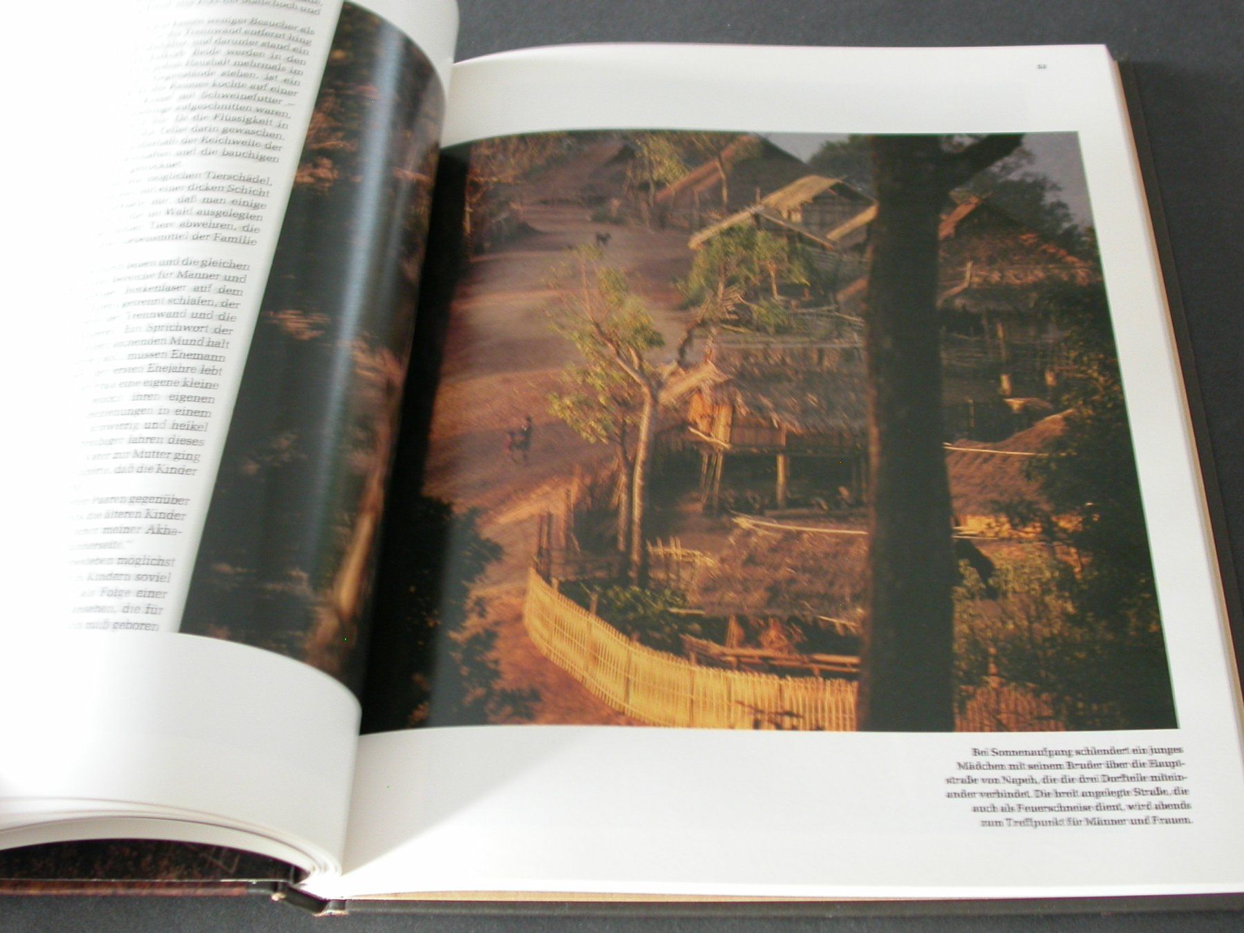 Libri: Die Akha - Siedler der Thai-Wälder – Usato da Zürich venduto da Marcel6887 5