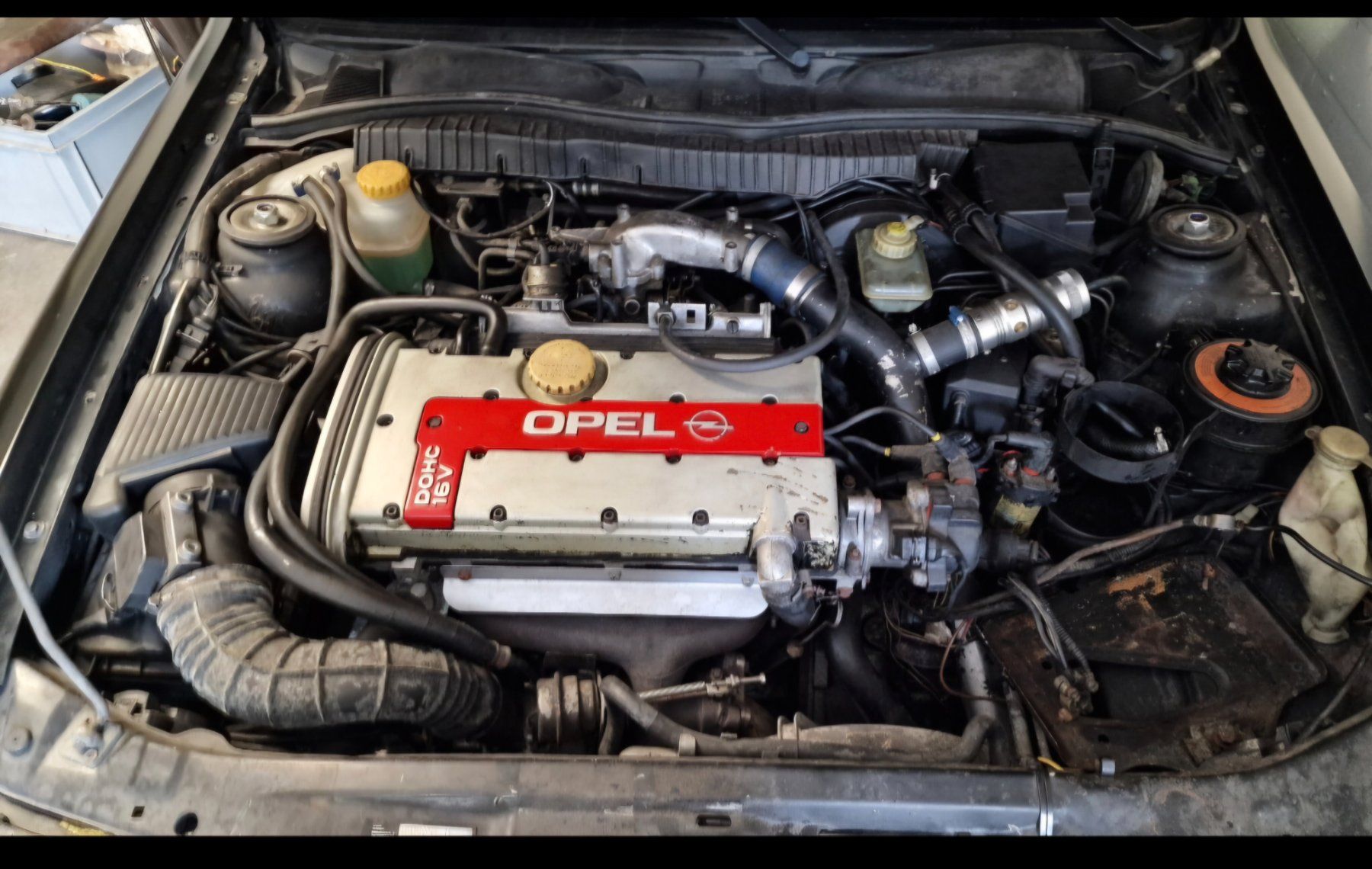 Opel Automobili: Opel Vectra Turbo 4×4 – Usato da Turbenthal venduto da Elena086