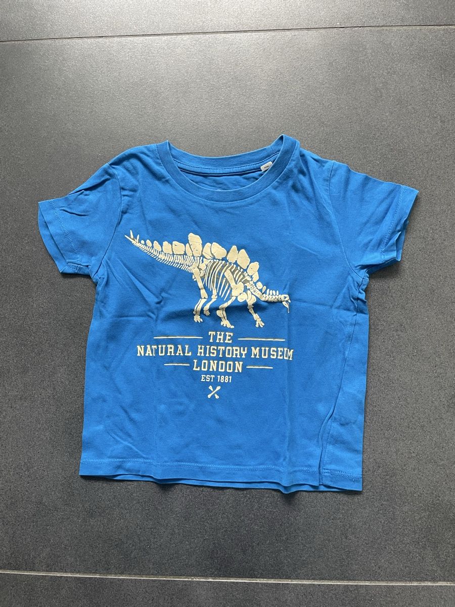 Hemden, T-Shirts & Polos: Dino T-Shirt Gr. 98/104 – Gebraucht aus Aesch ZH von lawas