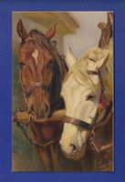 CHEVAL / PFERD