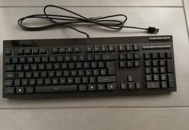Predator Gaming Tastatur USB