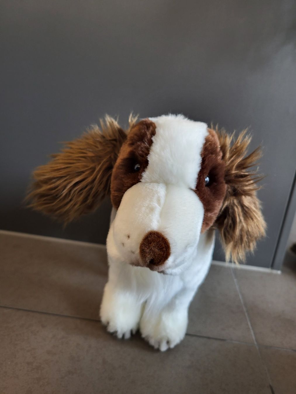 Steiff Spielzeuge: Steiff Hund – Neu und originalverpackt aus Zürich von Orchidee 1