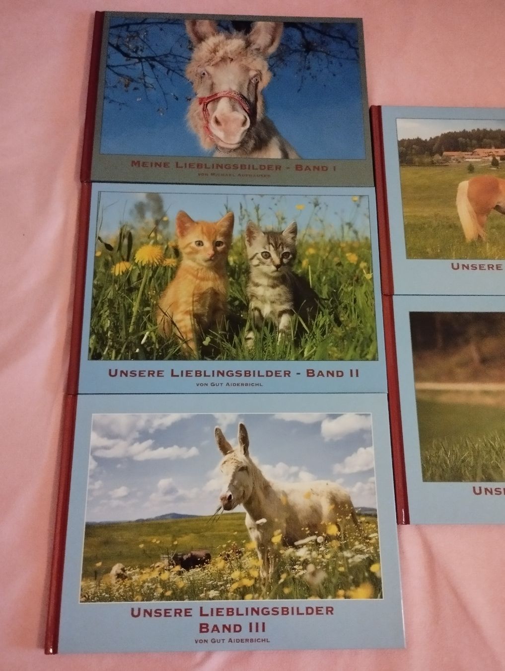 Bücher: Bildbände Gut Aiderbichel. Neu, 5 Stück – Neu und originalverpackt aus Ostermundigen von Dinge1 2