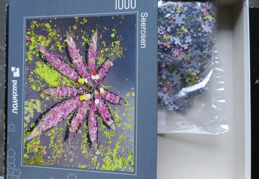 Puzzle: Puzzle 1000 – Nuovo (secondo la descrizione) da Zollikofen venduto da Willmac 1
