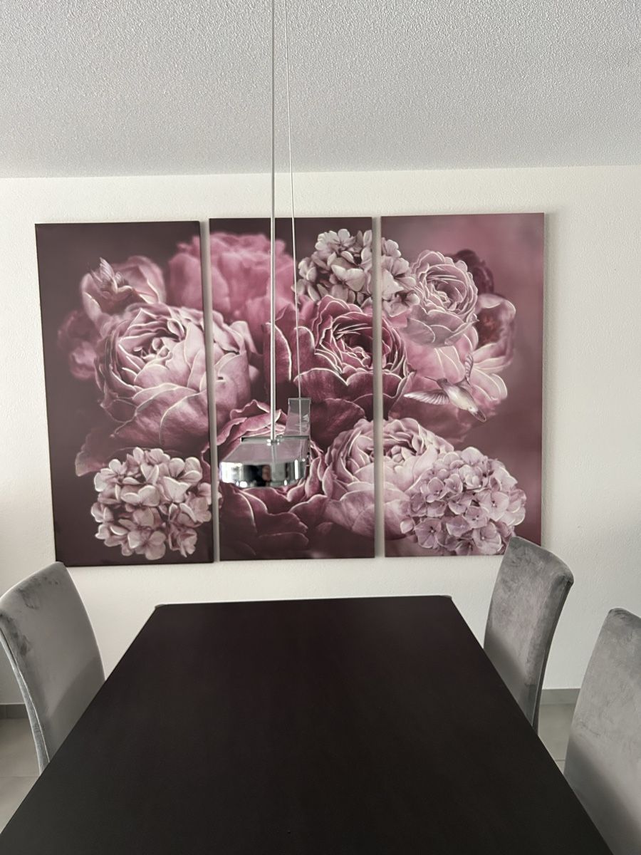 Foto & Immagini: XXL Bild Lila Rosen – Usato da Frick venduto da nikki09