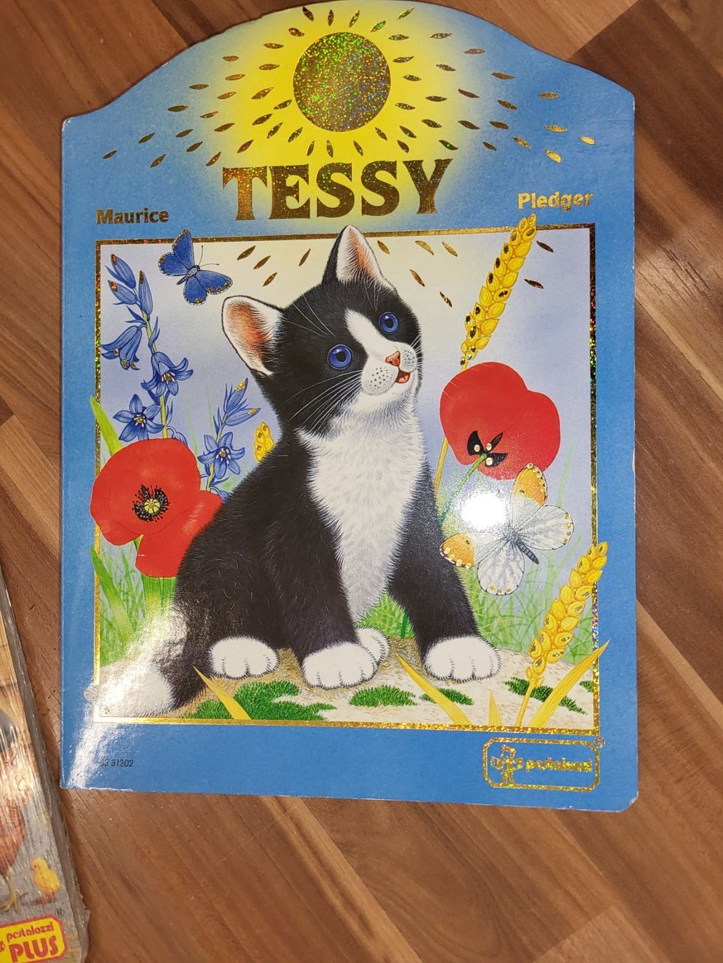 Libri: Buch Tessy von Pestalozzi – Nuovo (secondo la descrizione) da Schwarzenburg venduto da Flamingo07 1