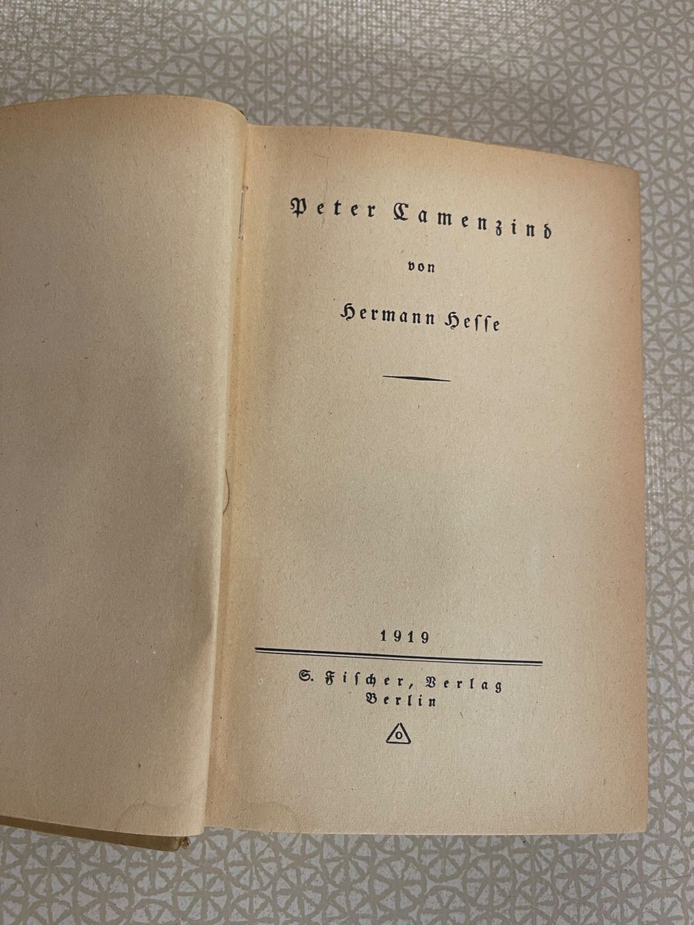 Libri: Buch - Peter Camenzind von Hermann Hesse – Usato da Urnäsch venduto da pas_5r9c 3